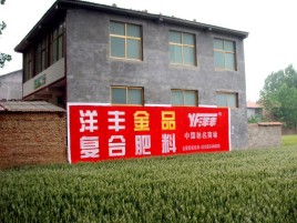 仁怀如何让墙体广告展现最大化效果
